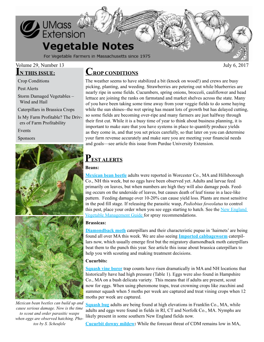 CROP CONDITIONS PEST ALERTS in THIS ISSUE: Volume 29