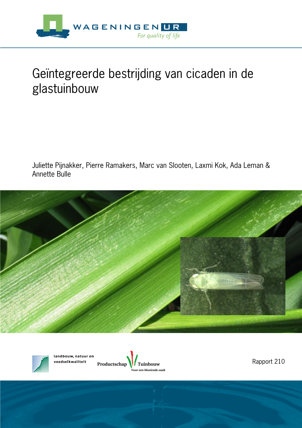 Geïntegreerde Bestrijding Van Cicaden in De Glastuinbouw
