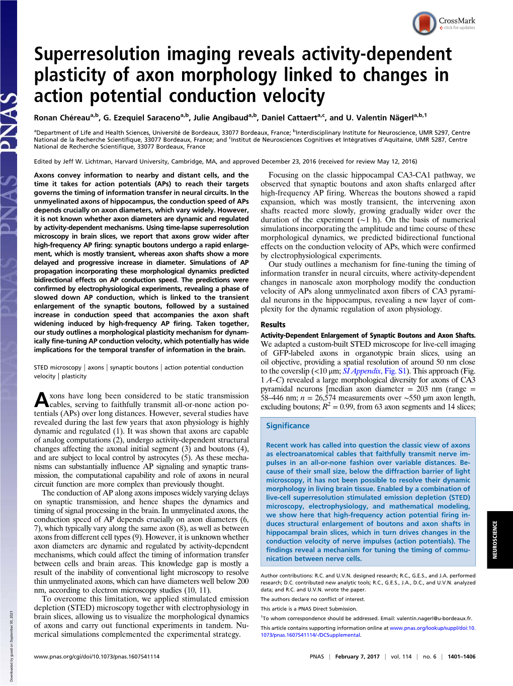 Superresolution Imaging Reveals Activity-Dependent Plasticity of Axon Morphology Linked to Changes in Action Potential Conduction Velocity