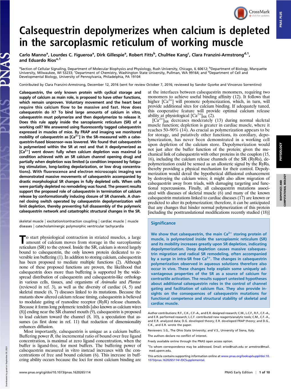 Calsequestrin Depolymerizes When Calcium Is Depleted in The