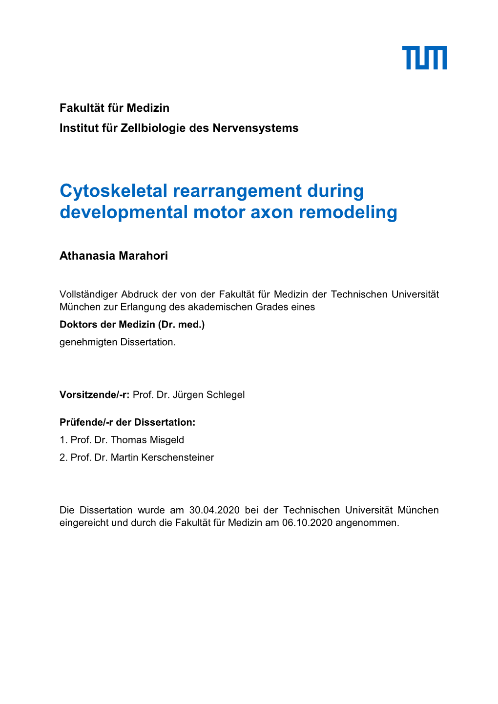 Cytoskeletal Rearrangement During Developmental Motor Axon Remodeling