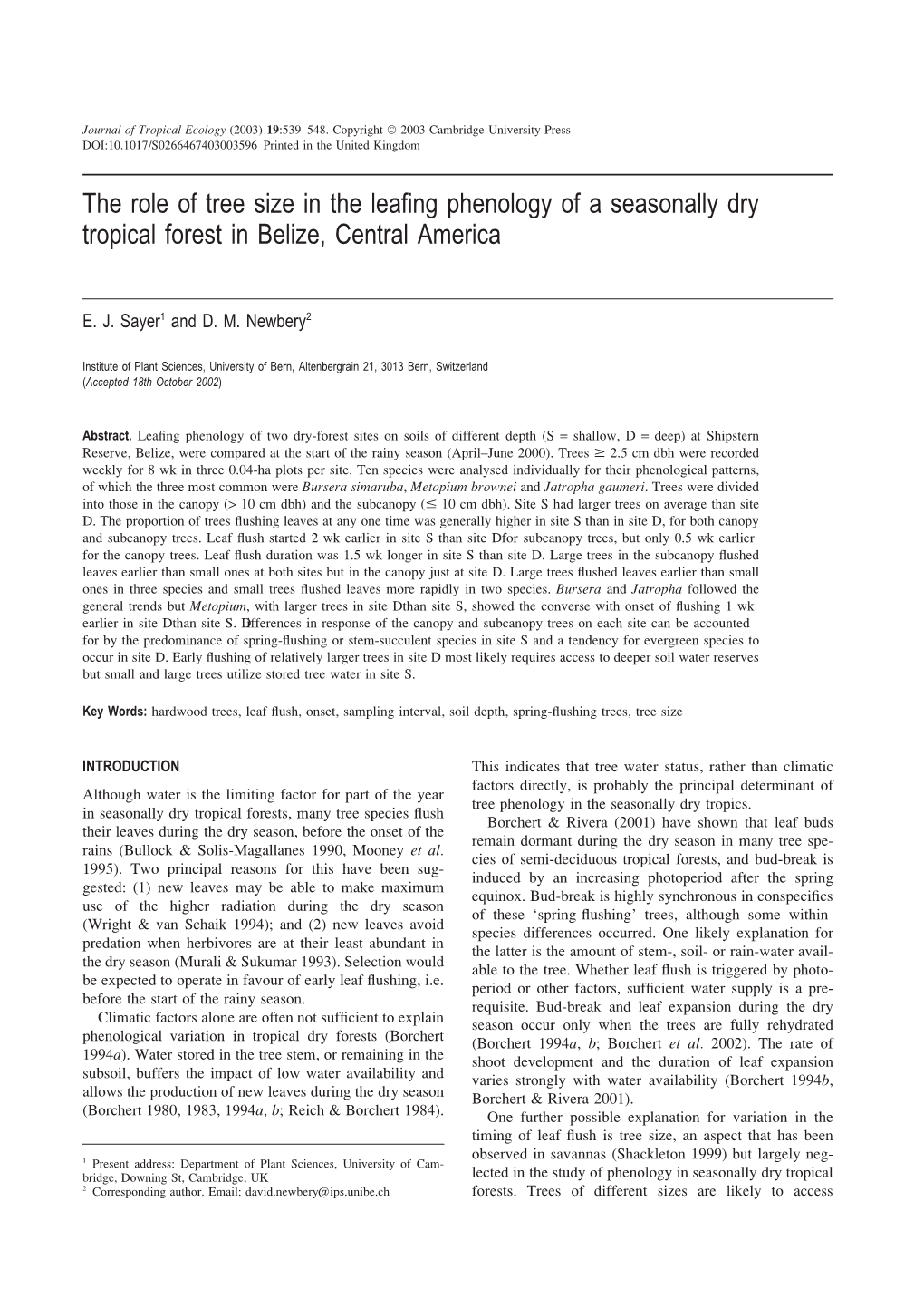 The Role of Tree Size in the Leafing Phenology of a Seasonally Dry Tropical Forest in Belize, Central America