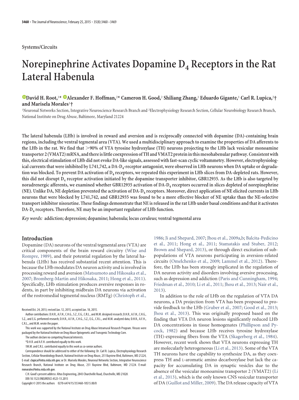 Norepinephrine Activates Dopamine D4 Receptors in the Rat Lateral Habenula