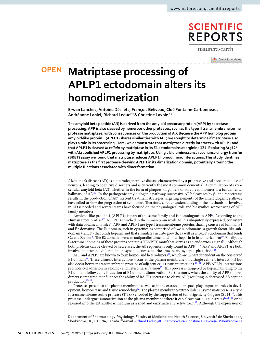 Matriptase Processing of APLP1 Ectodomain Alters Its