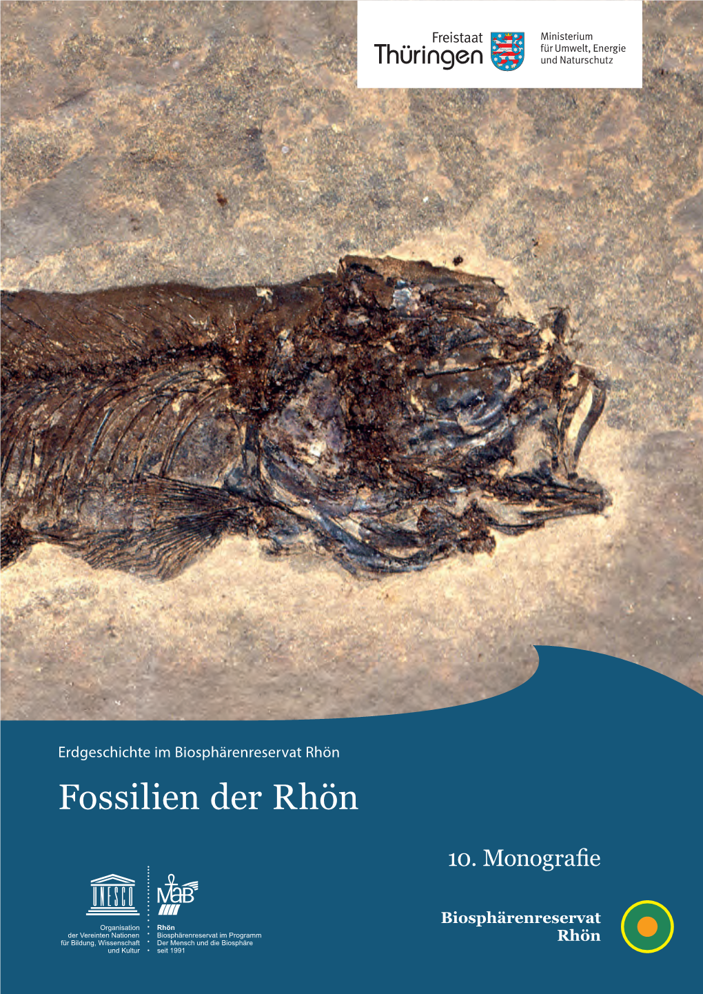 Fossilien Der Rhön Fossilien Der R H Ön