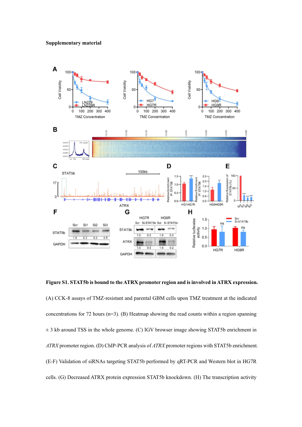 Supplementary Material Figure S1. Stat5b Is Bound to the ATRX Promoter Region and Is Involved in ATRX Expression. (A) CCK-8 Assa