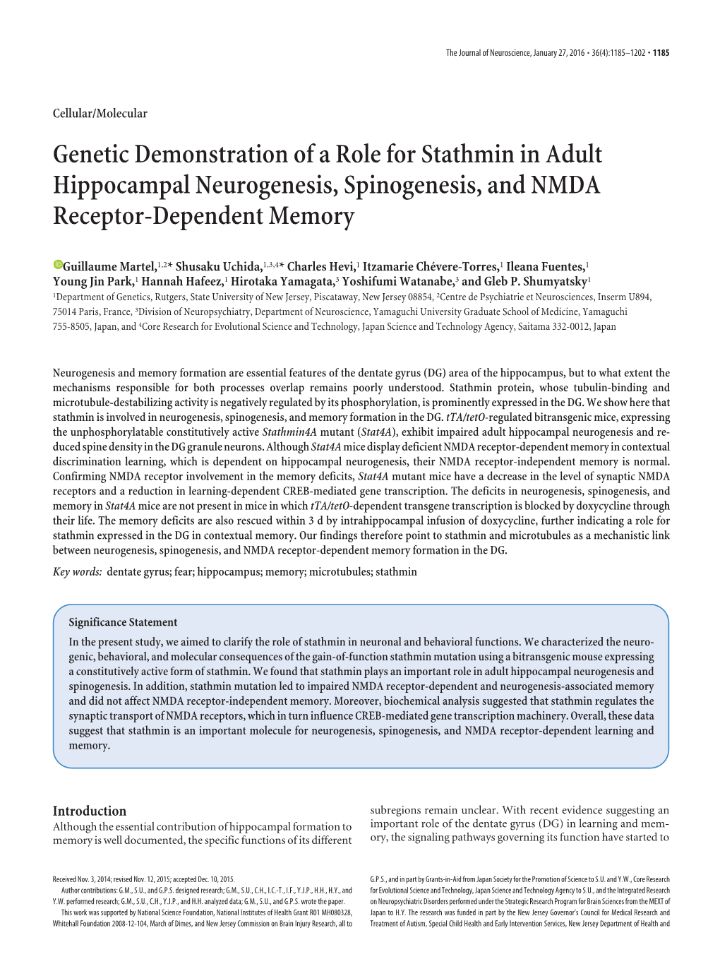 Genetic Demonstration of a Role for Stathmin in Adult Hippocampal Neurogenesis, Spinogenesis, and NMDA Receptor-Dependent Memory