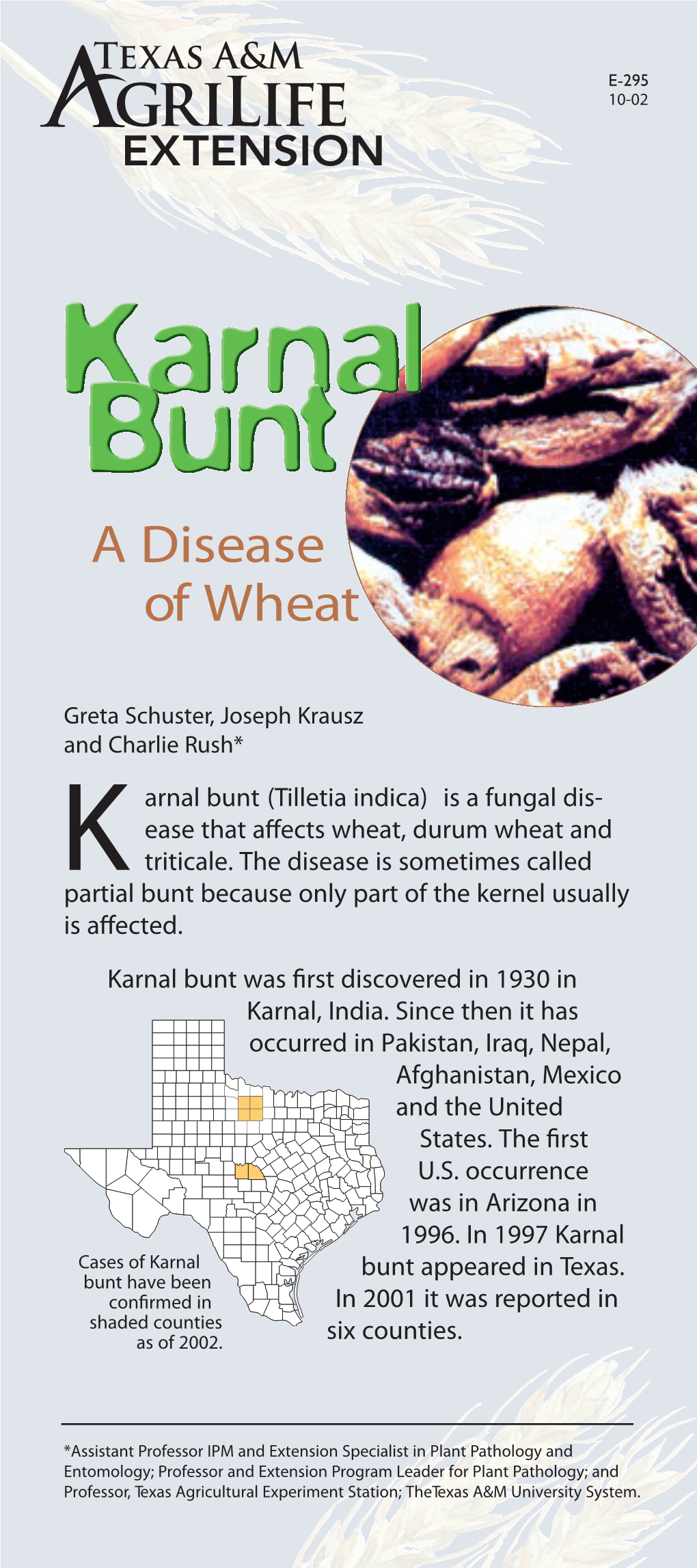 Karnal Bunt Was ﬁrst Discovered in 1930 in Karnal, India