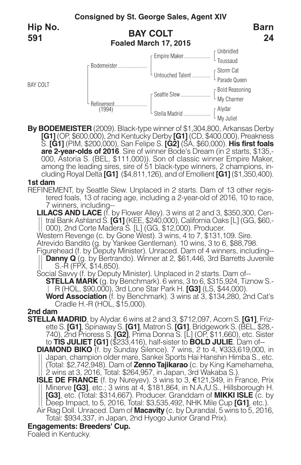 BAY COLT Barn 24 Hip No