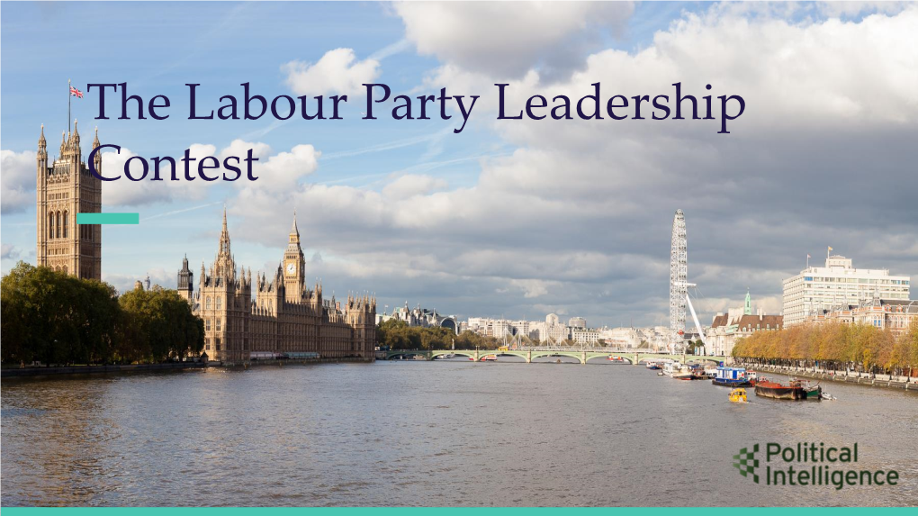 The Labour Party Leadership Contest the Labour Party Leadership Contest the Candidates