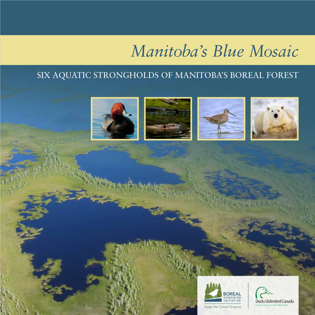 Manitoba's Blue Mosaic