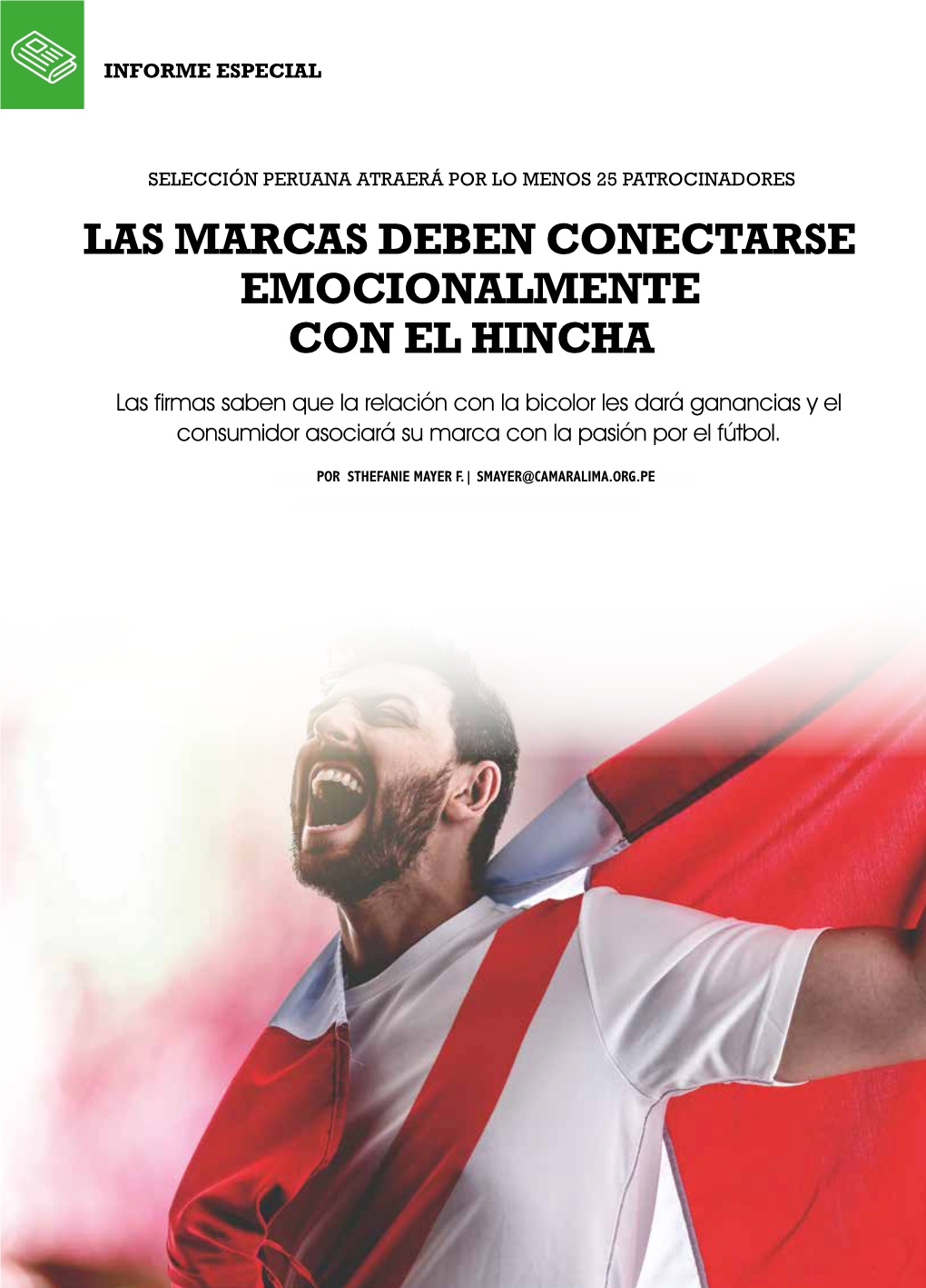 Las Marcas Deben Conectarse Emocionalmente Con El Hincha