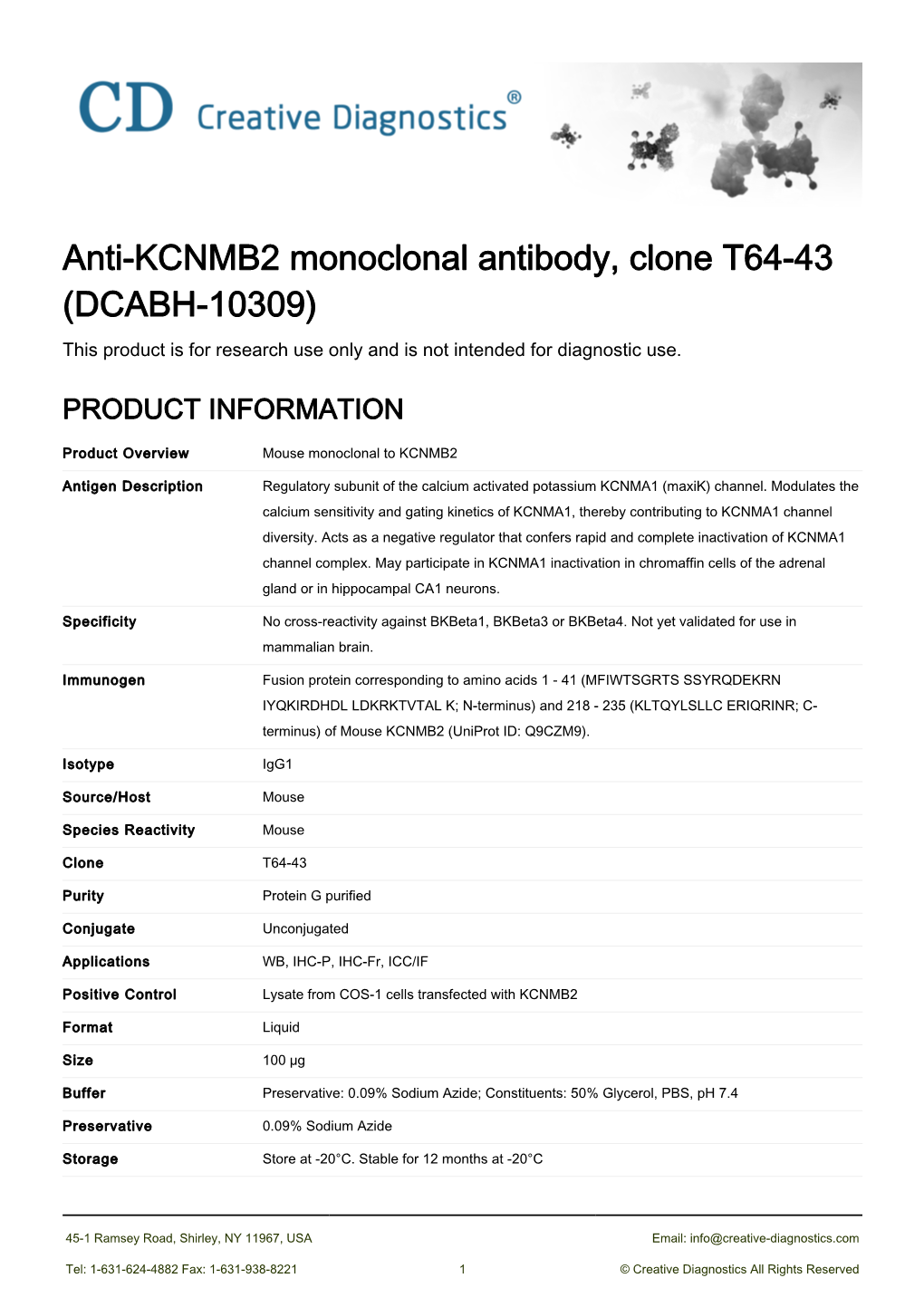 Anti-KCNMB2 Monoclonal Antibody, Clone T64-43 (DCABH-10309) This Product Is for Research Use Only and Is Not Intended for Diagnostic Use