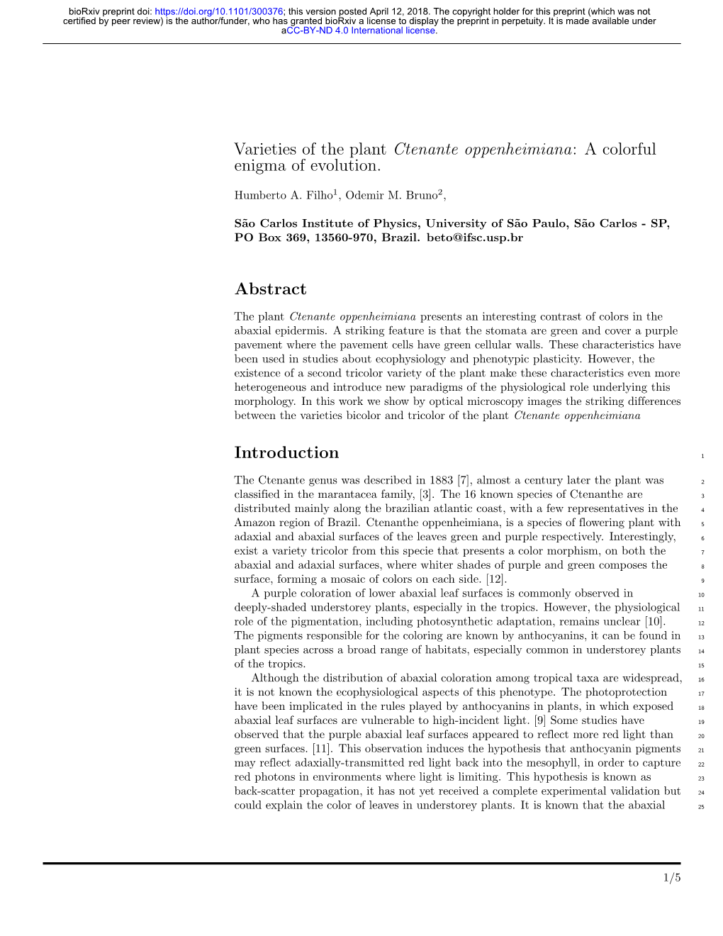 Varieties of the Plant Ctenante Oppenheimiana: a Colorful Enigma of Evolution