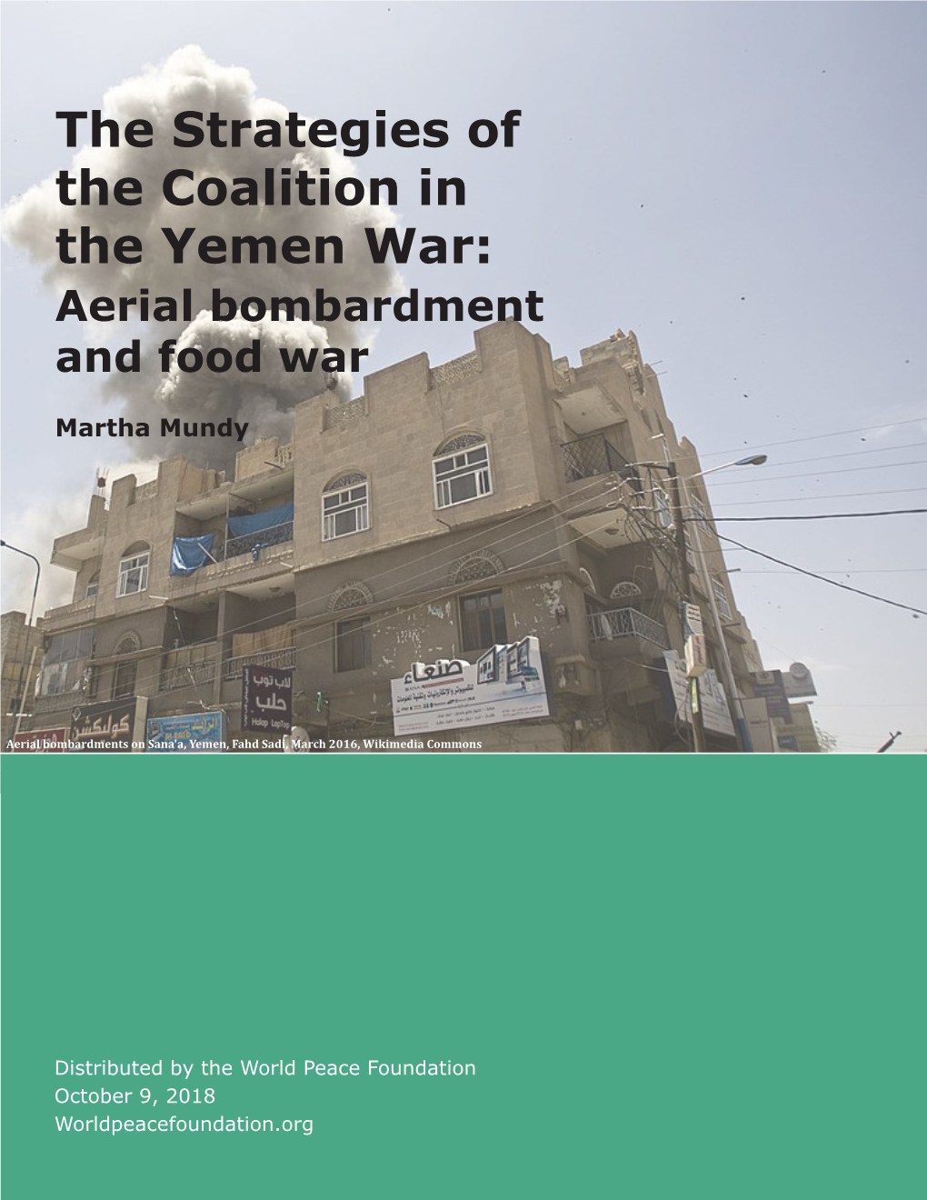 The Strategies of the Coalition in the Yemen War: Aerial Bombardment and Food War
