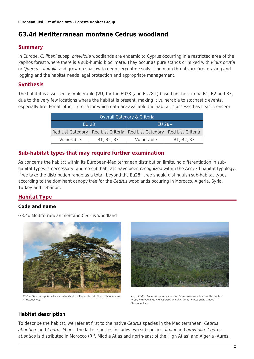 G3.4D Mediterranean Montane Cedrus Woodland