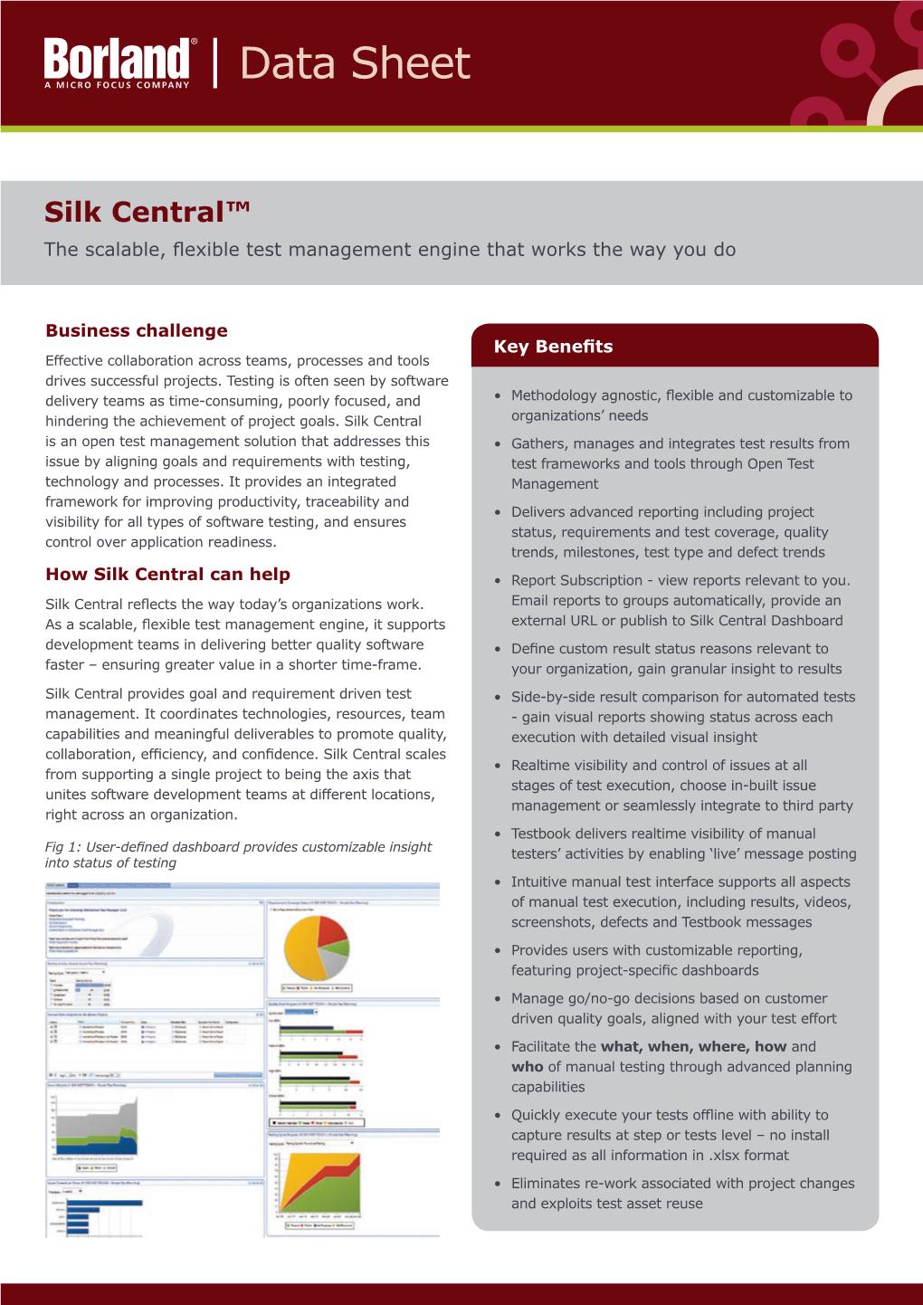 Silk Central™ the Scalable, Flexible Test Management Engine That Works the Way You Do