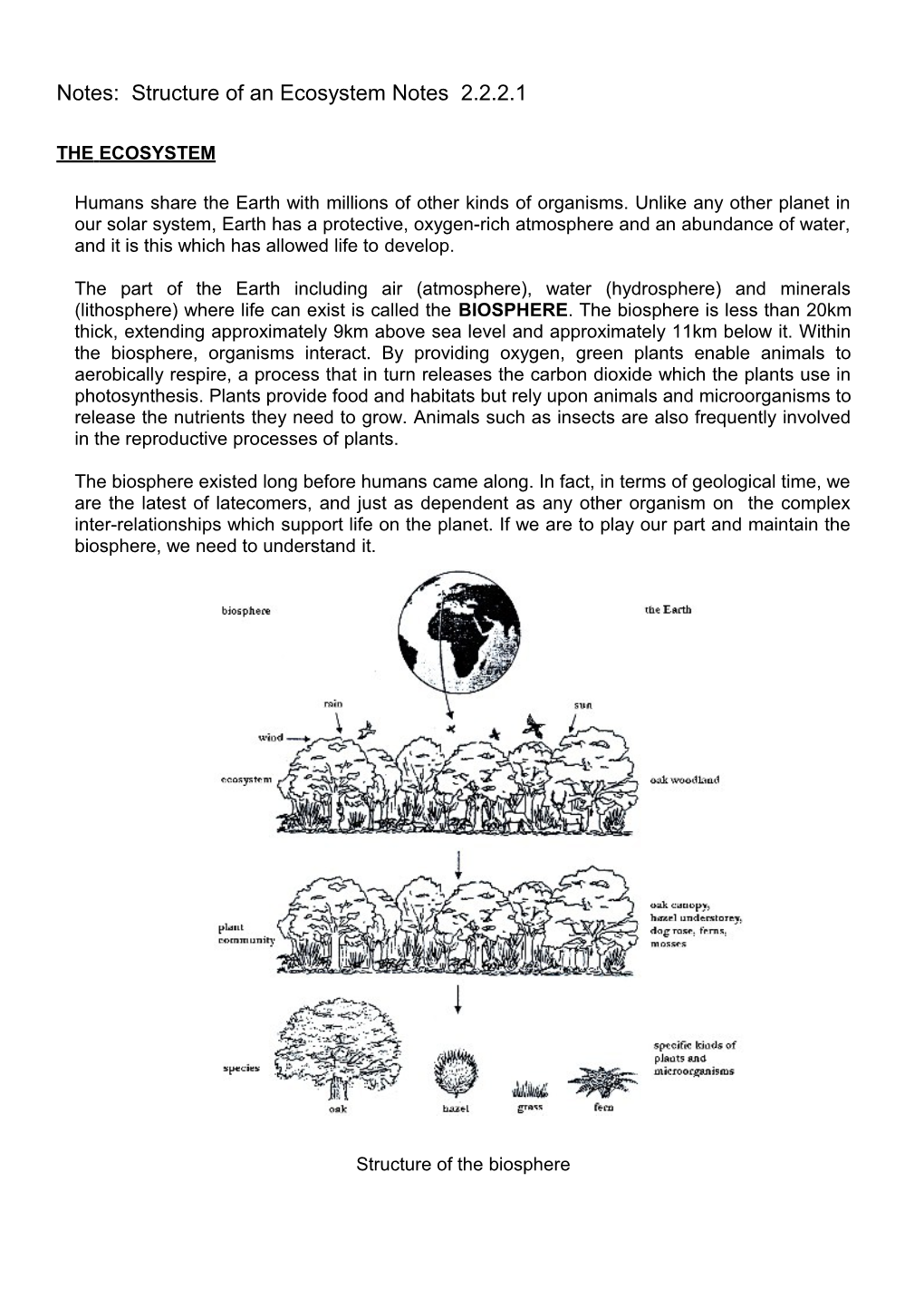 Notes: Structure of an Ecosystem Notes 2.2.2.1