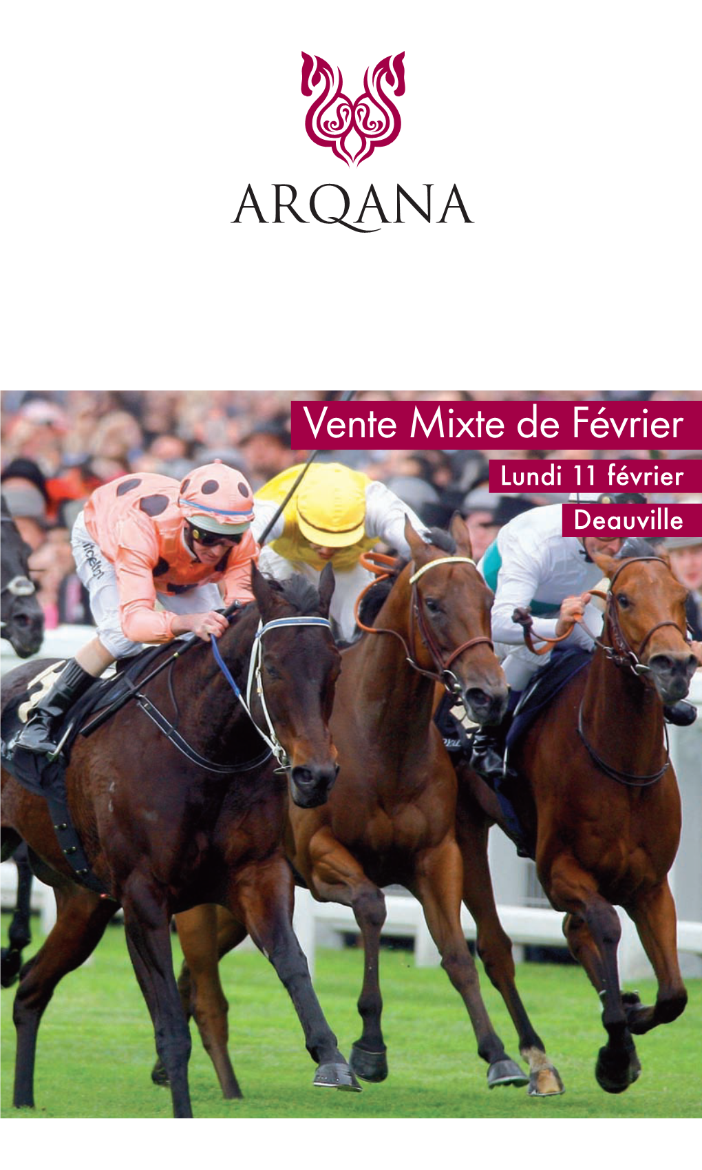 Vente Mixte De Février 12 500 € LF Lundi 11 Février Efluaslivceoquality - Star of Paris (Dayjur) Deauville 7 500 € LF