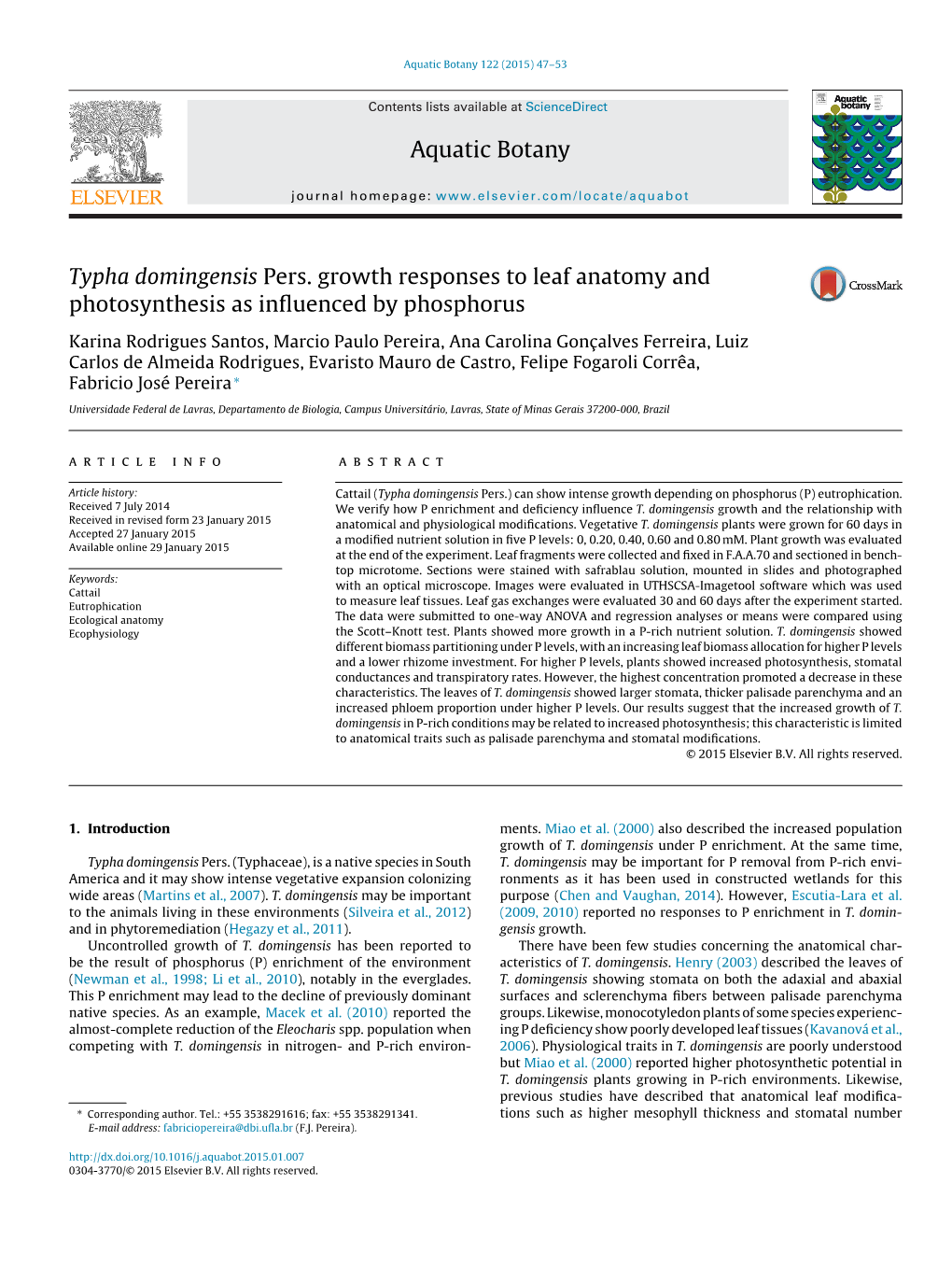 Typha Domingensis Pers. Growth Responses to Leaf Anatomy and Photosynthesis As Inﬂuenced by Phosphorus