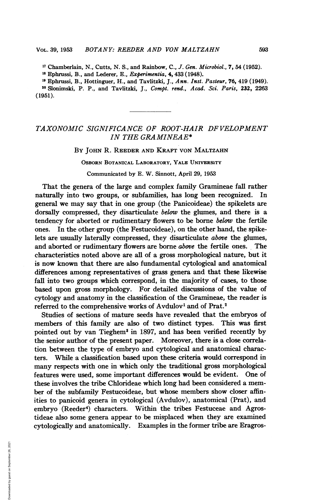 Cytologically and Anatomically. Examples in the Former Tribe Are Eragros- Downloaded by Guest on September 26, 2021 594 BOTANY: REEDER and VON MALTZAHN PROC