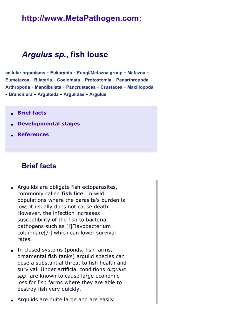 Argulus Spp., Fish Louse, Crustacean Fish Pathogens