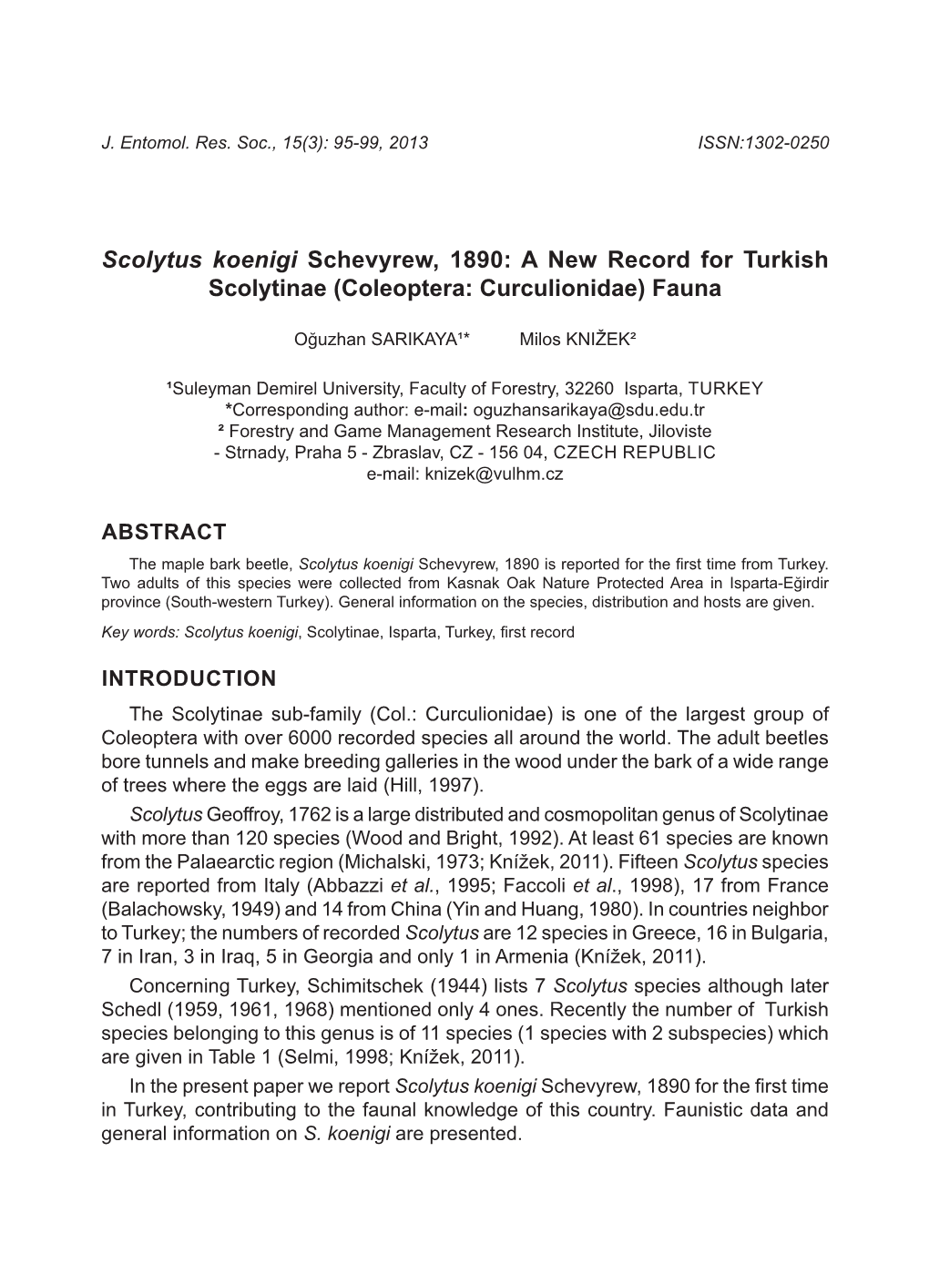 Scolytus Koenigi Schevyrew, 1890: a New Record for Turkish Scolytinae (Coleoptera: Curculionidae) Fauna