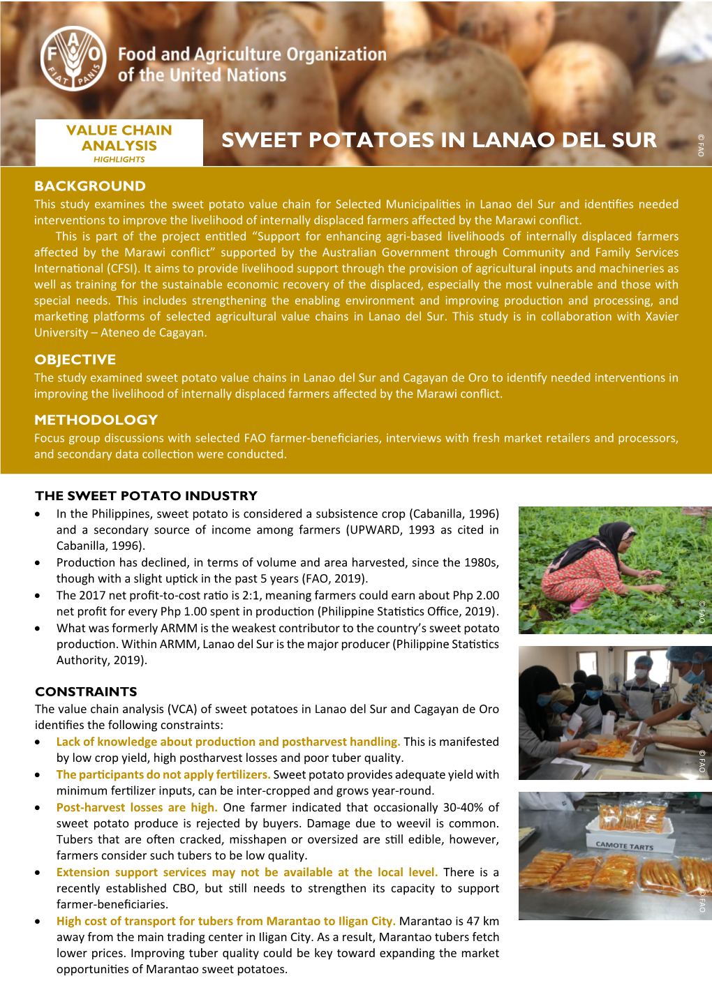 Value Chain Analysis Highlights: Sweet Potatoes in Lanao Del