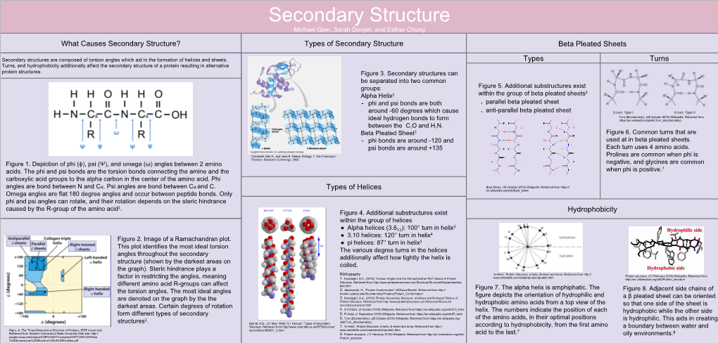 Secondary Structure Michael Qian, Sarah Dovgin, and Esther Chung