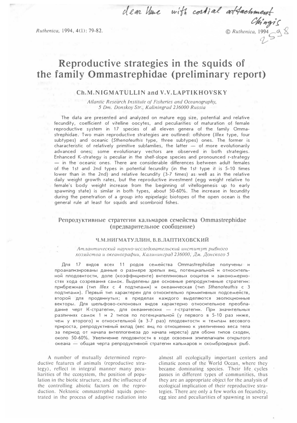 Reproductive Strategies in the Squids of the Family Ommastrephidae (Preliminary Report)