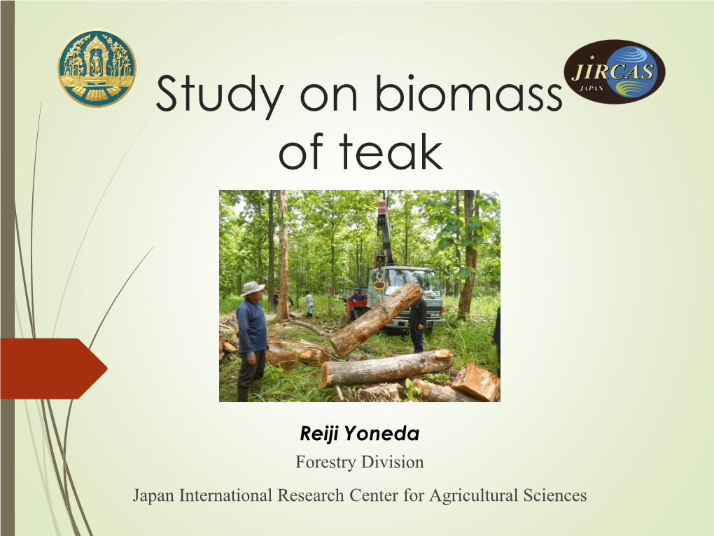 Study on Biomass of Teak