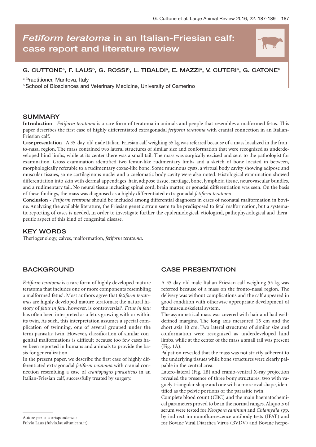 Fetiform Teratoma in an Italian-Friesian Calf: Case Report and Literature Review N