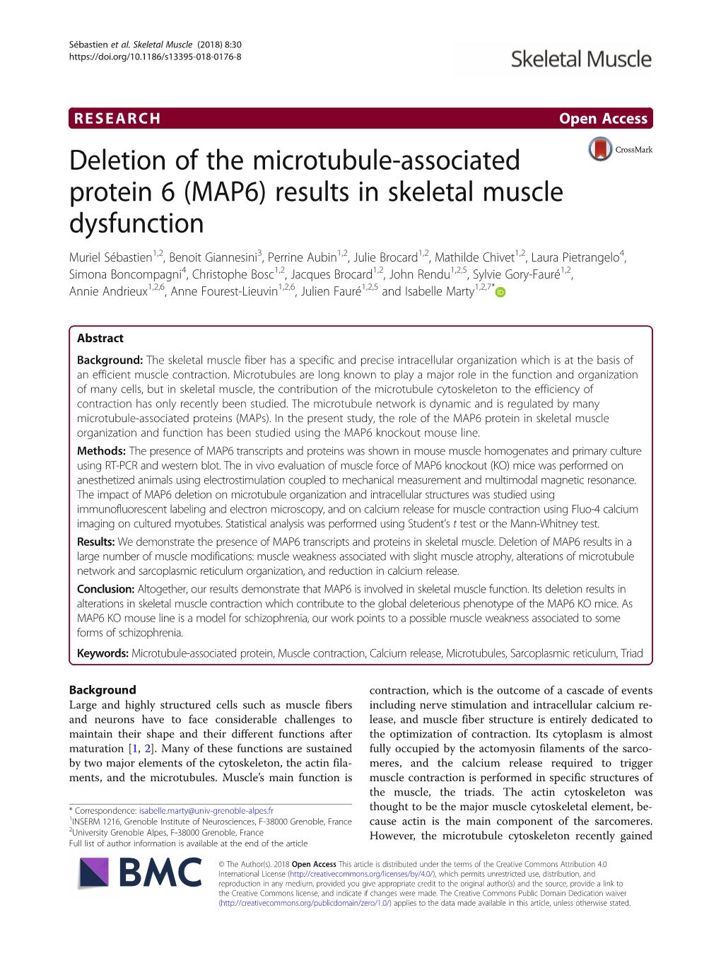 Deletion of the Microtubule-Associated Protein 6