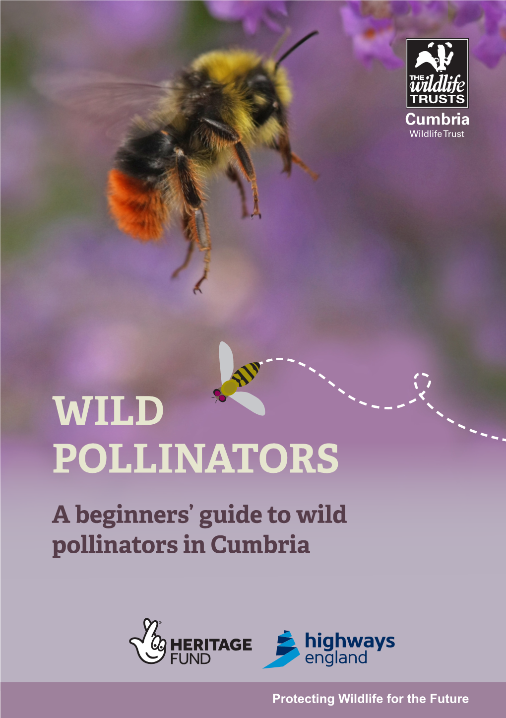 WILD POLLINATORS a Beginners’ Guide to Wild Pollinators in Cumbria