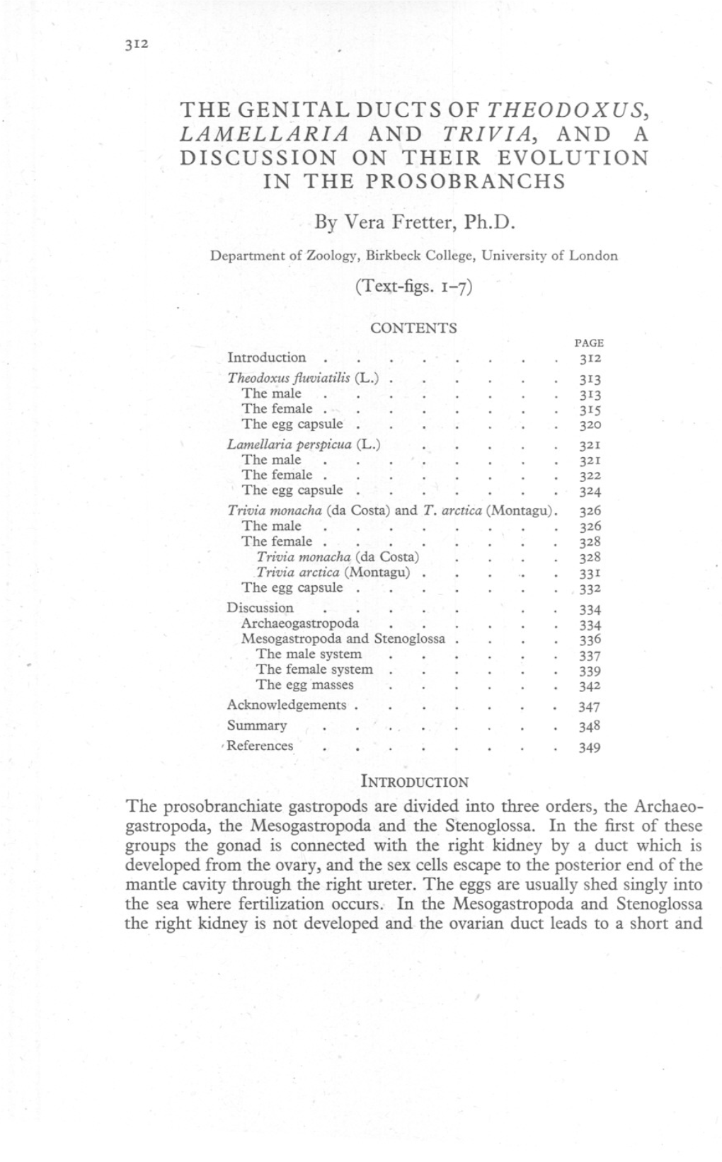 The Genital Ducts of Theodoxus, Lamellaria and Trivia, and a Discussion on Their Evolution in the Prosobranchs