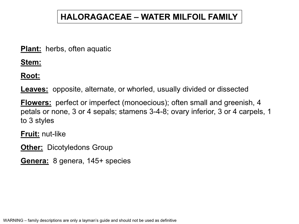 Haloragaceae – Water Milfoil Family