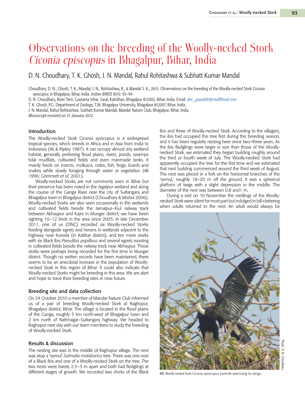 Observations on the Breeding of the Woolly-Necked Stork Ciconia Episcopus in Bhagalpur, Bihar, India D