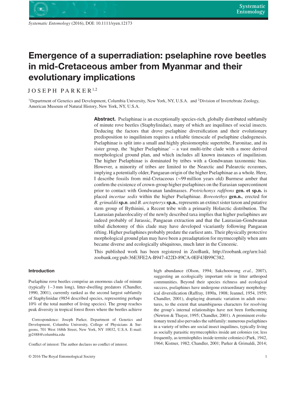 Emergence of a Superradiation: Pselaphine Rove Beetles in Mid-Cretaceous Amber from Myanmar and Their Evolutionary Implications