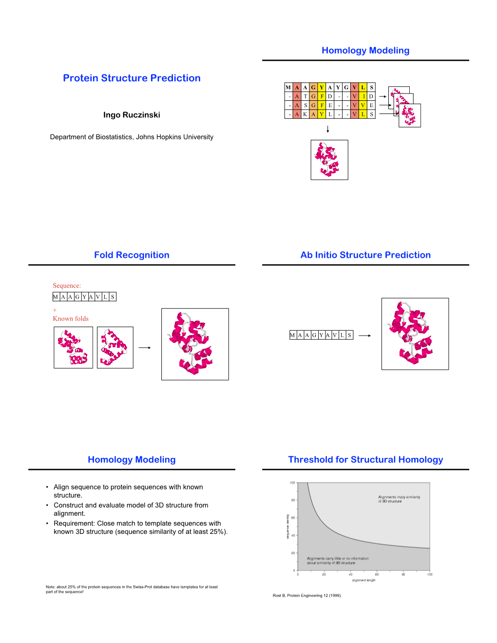 Protein Structure Prediction M a a G Y a Y G V L S - a T G F D - - V I D - a S G F E - - V V E Ingo Ruczinski - a K a Y L - - V L S