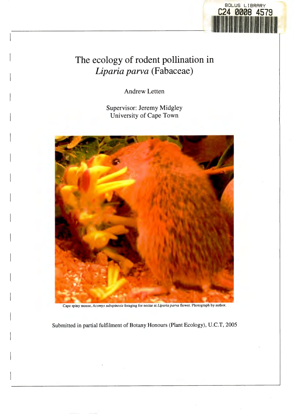 The Ecology of Rodent Pollination in Liparia Parva (Fabaceae)
