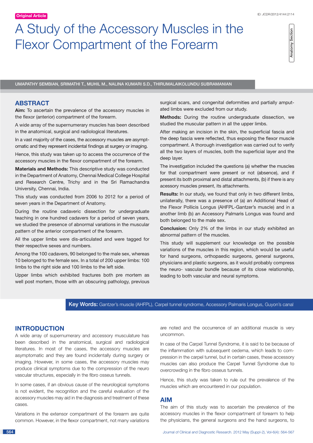 A Study of the Accessory Muscles in the Flexor Compartment of the Forearm Anatomy Section