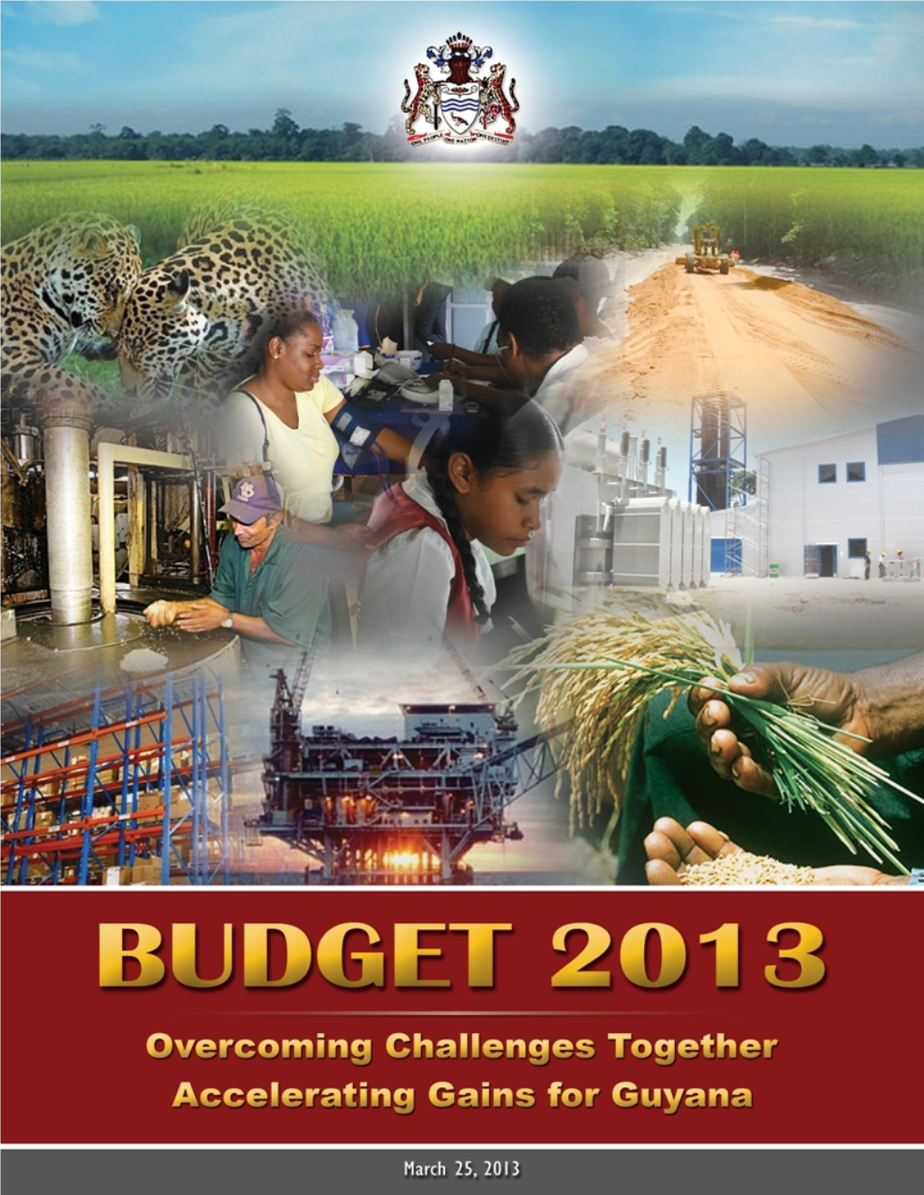 Budget Speech 2013