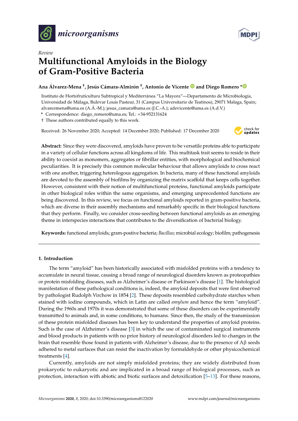 Multifunctional Amyloids in the Biology of Gram-Positive Bacteria