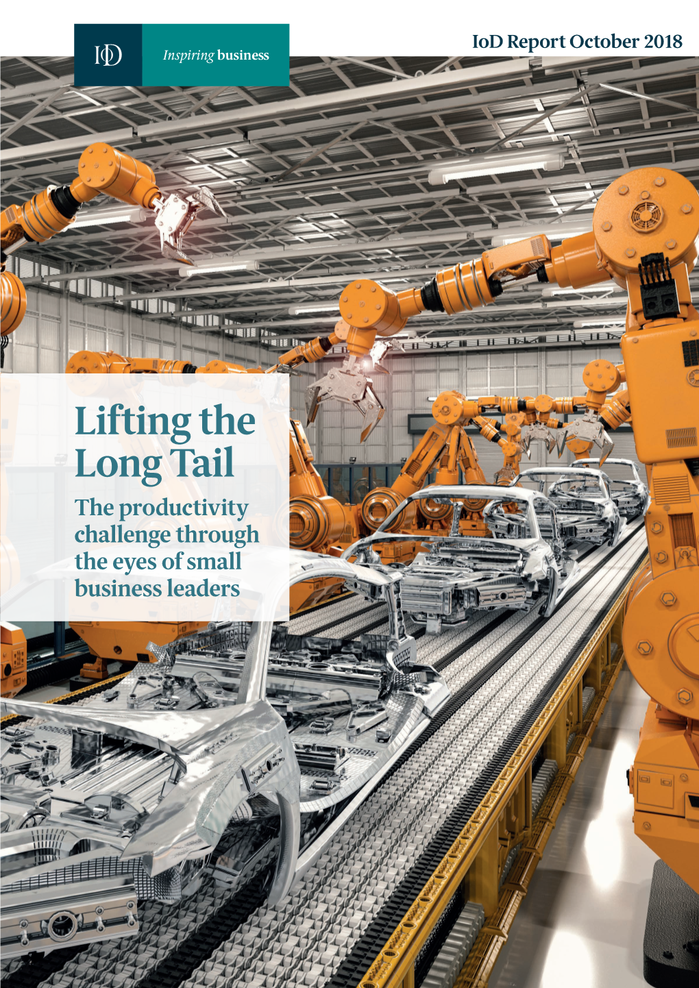 Lifting the Long Tail: the Productivity Challenge Through the Eyes of Small Business Leaders