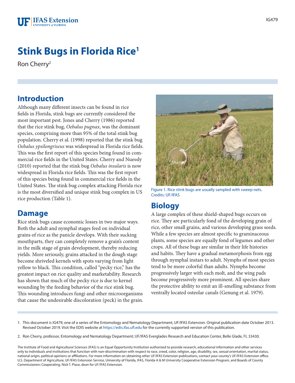 Stink Bugs in Florida Rice1 Ron Cherry2