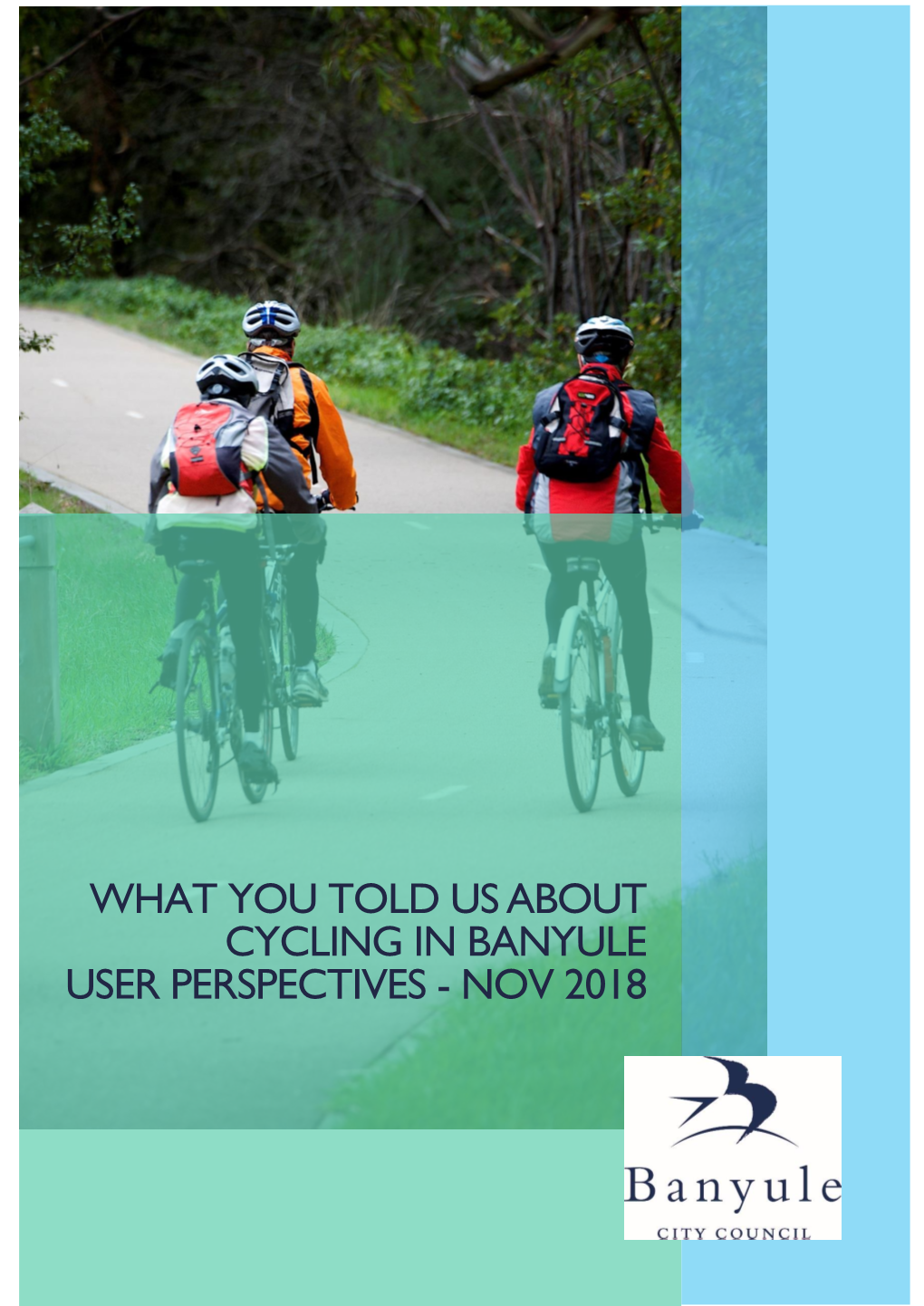 What You Told Usabout Cycling in Banyule User Perspectives