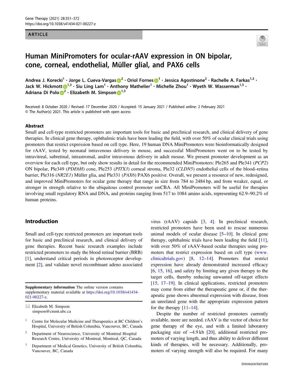 Human Minipromoters for Ocular-Raav Expression in on Bipolar, Cone, Corneal, Endothelial, Mã¼ller Glial, and PAX6 Cells