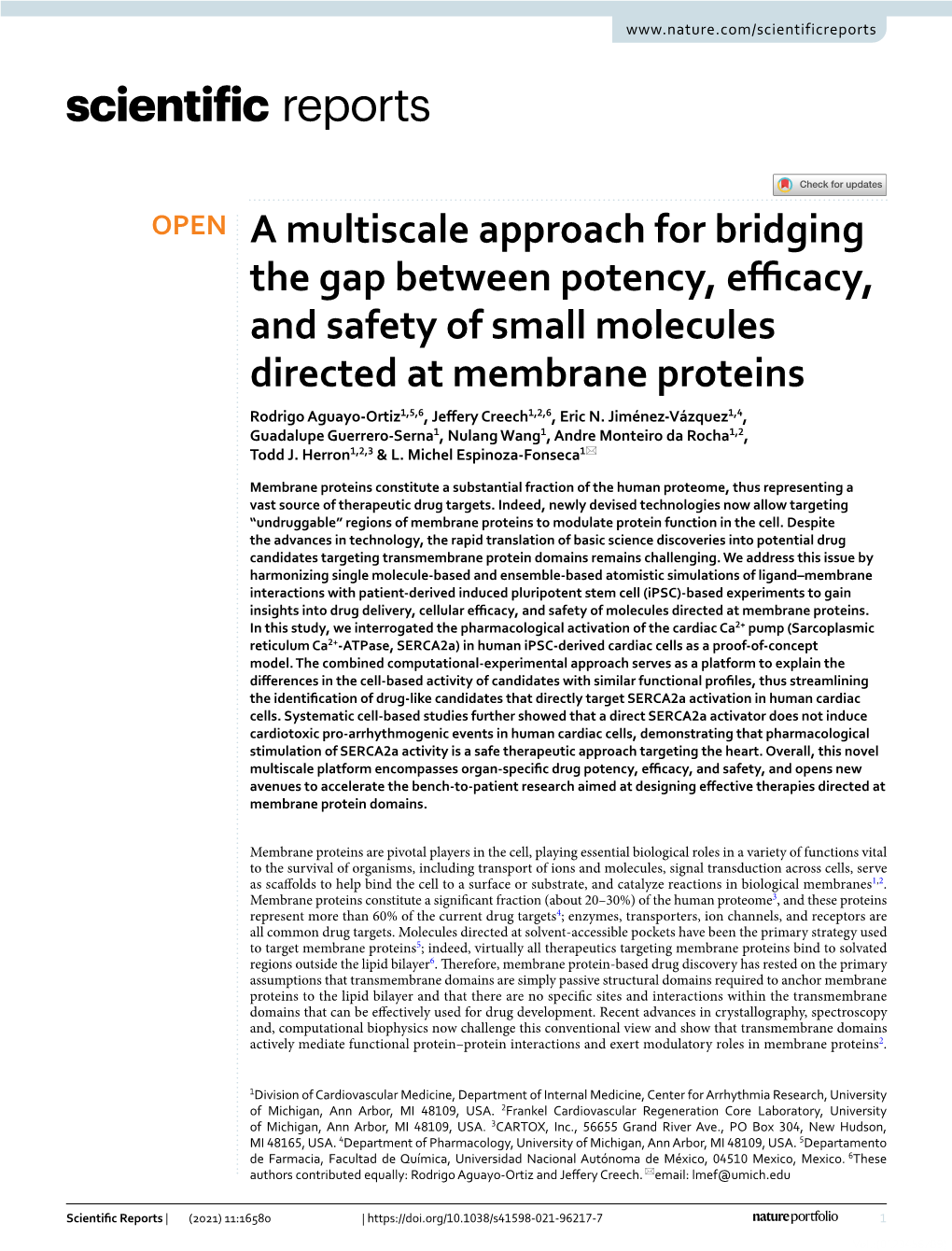 A Multiscale Approach for Bridging the Gap Between Potency, Efficacy, And