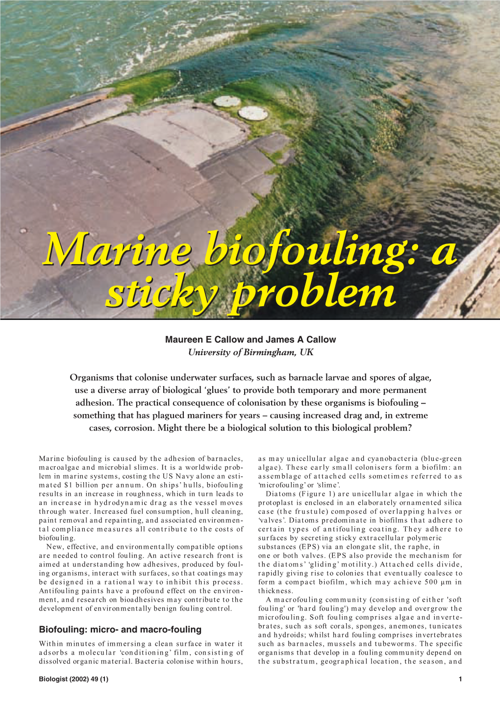 Marine Biofouling:Biofouling: Aa Stickysticky Problemproblem