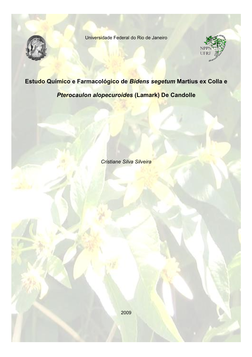 Estudo Químico E Farmacológico De Bidens Segetum Martius Ex Colla E Pterocaulon Alopecuroides (Lamark) De Candolle